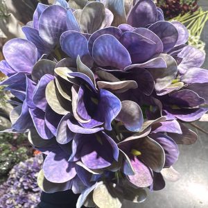 18" Dark Purple Hyd