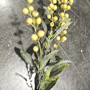 Yellow PL Berried Bay Leaf Spray 28"