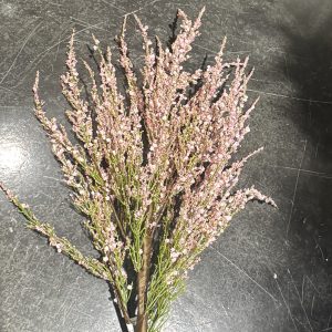 45" SKITTLE SPRAY/PINK