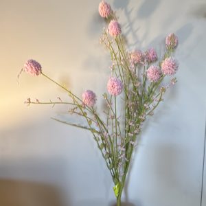 Pink Snowball Allium Bush