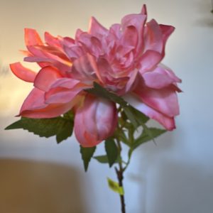 Dahlia Spray H25 CORAL
