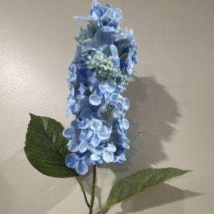 25" Real Touch Blue Cone Hyd