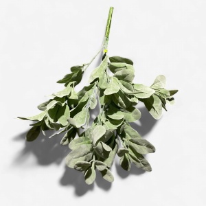 Lamb Ear Bush X6 23"