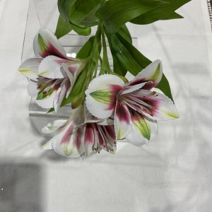 WHITE & DARK PINK ALSTROMERIA STEM
