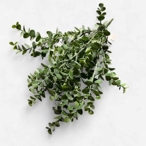 16.5" Eucalyptus Bush