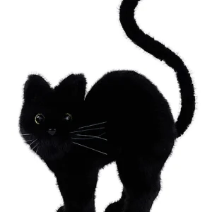 14.5"H X 10.75"L LONG FUR CAT W/WHISKERS