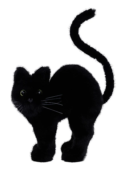 14.5"H X 10.75"L LONG FUR CAT W/WHISKERS